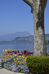 Seepromenade am Gardasee in Bardolino