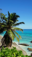 Obraz premium tropical coast