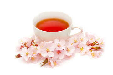 Obraz na płótnie Canvas tea Sakura