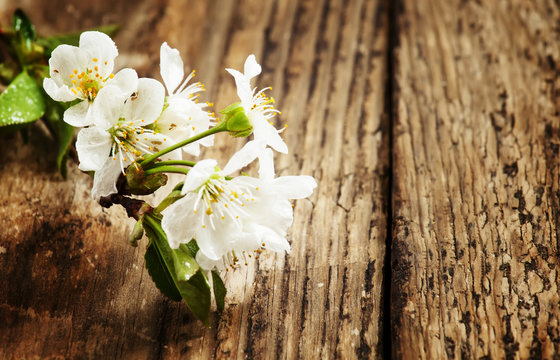 cherry blossoms on a wooden table, selective focus