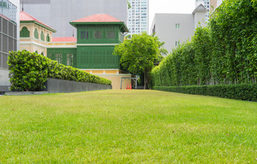 Green grass and cones with stylish building