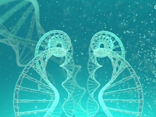 DNA image . size of the cells of the micro.