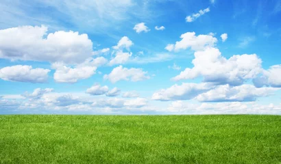 Foto op Plexiglas Green field and blue sky © sdecoret