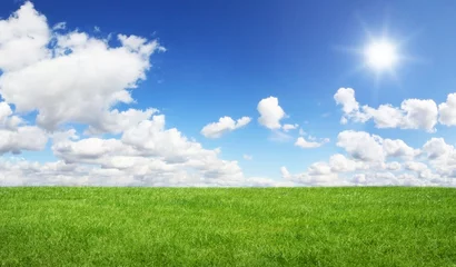 Fotobehang Green field and blue sky © sdecoret
