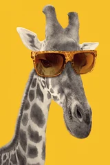 Papier Peint photo Lavable Girafe Portrait d& 39 une girafe avec des lunettes de soleil hipster