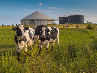 Biogas plant on a farm - obrazy, fototapety, plakaty