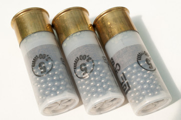 munitions de chasse calibre 12