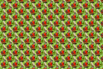 Fototapete bei efototapeten.de bestellen   