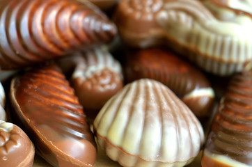 Chocolate candies shaped like seashell and seahorse