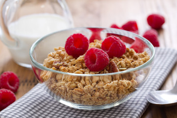 granola with berries in bowl and milk