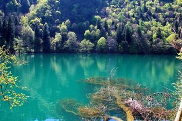Красивое озеро
