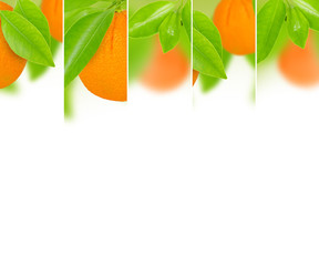 Orange mix