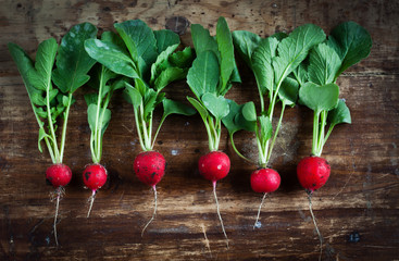 Bunch of fresh radishes on old wooden table