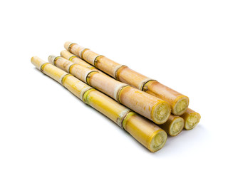 Sugar cane isolated on white background