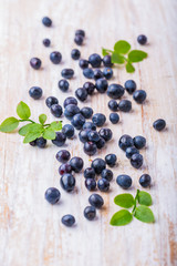 Blueberry on white wooden background