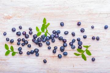 Blueberry on white wooden background