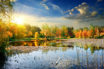 Fototapeta na wymiar Yellow autumn on river