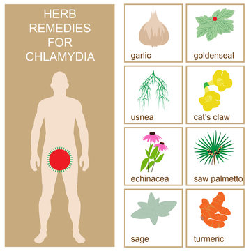 herbal chlamydia remedies. vector format illustration.