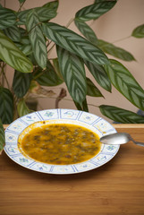 Soup bowl with spoon