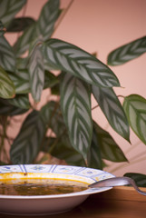 Soup bowl with spoon