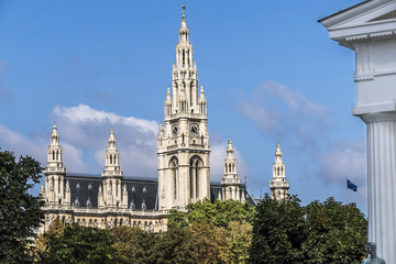 Fototapeta premium Ratusz w Wiedniu