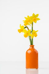 Tete a Tete daffodils in vase