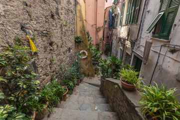 Street in the seaside town in the National Park of Cinque Terre,