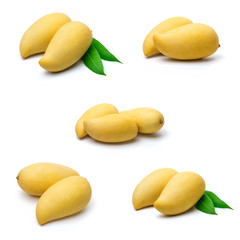 Sweet golden mango isolated on white background