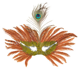 carnival mask with peacock feather