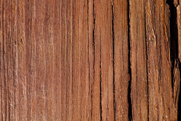 Wood plank brown texture background