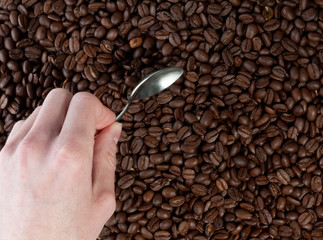 Nur der beste Kaffee. Geröstete Kaffeebohnen