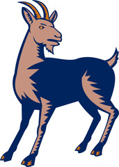 Mountain Domestic Goat Woodcut