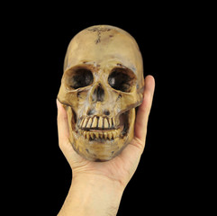Holding human skull in hand. Conceptual image.