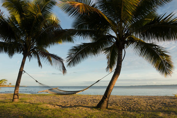 Hammock between palm trees, Fiji