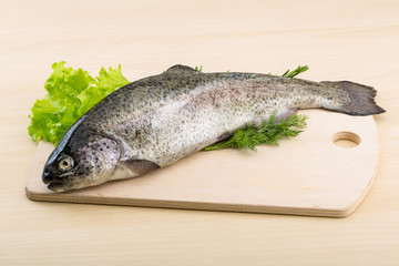 Raw fresh trout