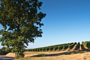 Bourrouillan (Gers)