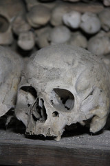 skull in the crypt