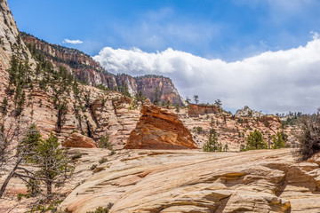Fototapeta premium Zion Canyon National Park Utah