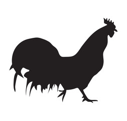 black cock silhouette