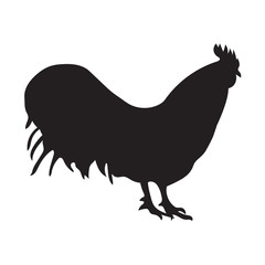 silhouette of black cock