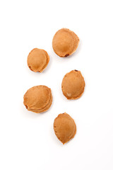 Ripe apicots seeds in closeup
