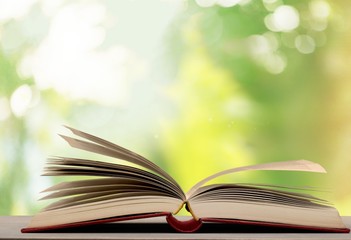 Above. Close up on open book pages