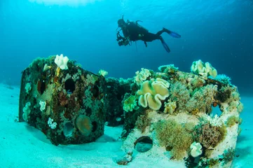 Crédence de cuisine en verre imprimé Plonger plongée sous-marine plongeur naufrage kapoposang indonésie sous l& 39 eau
