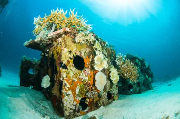 Zelfklevend Fotobehang scuba diving diver shipwreck kapoposang indonesia underwater © fenkieandreas