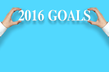 2016 Goals