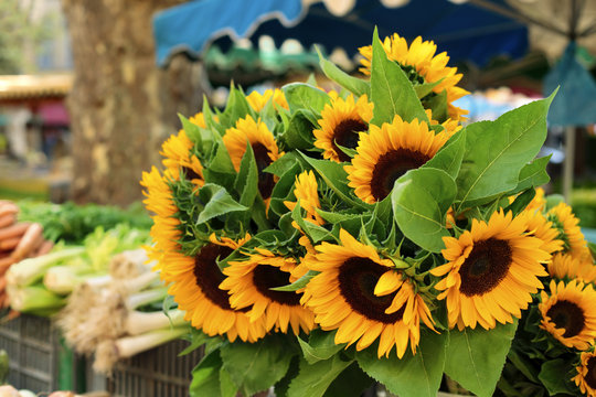 Farmers market with sunflowers provence france typical french local fresh market photo
