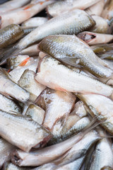 Cutted head fish for cooking.