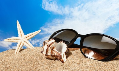 Fototapeta na wymiar Beaches. Sunglasses and marine life on the beach