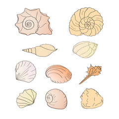 set of shells