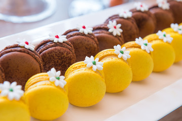 sweet color macaron for eat